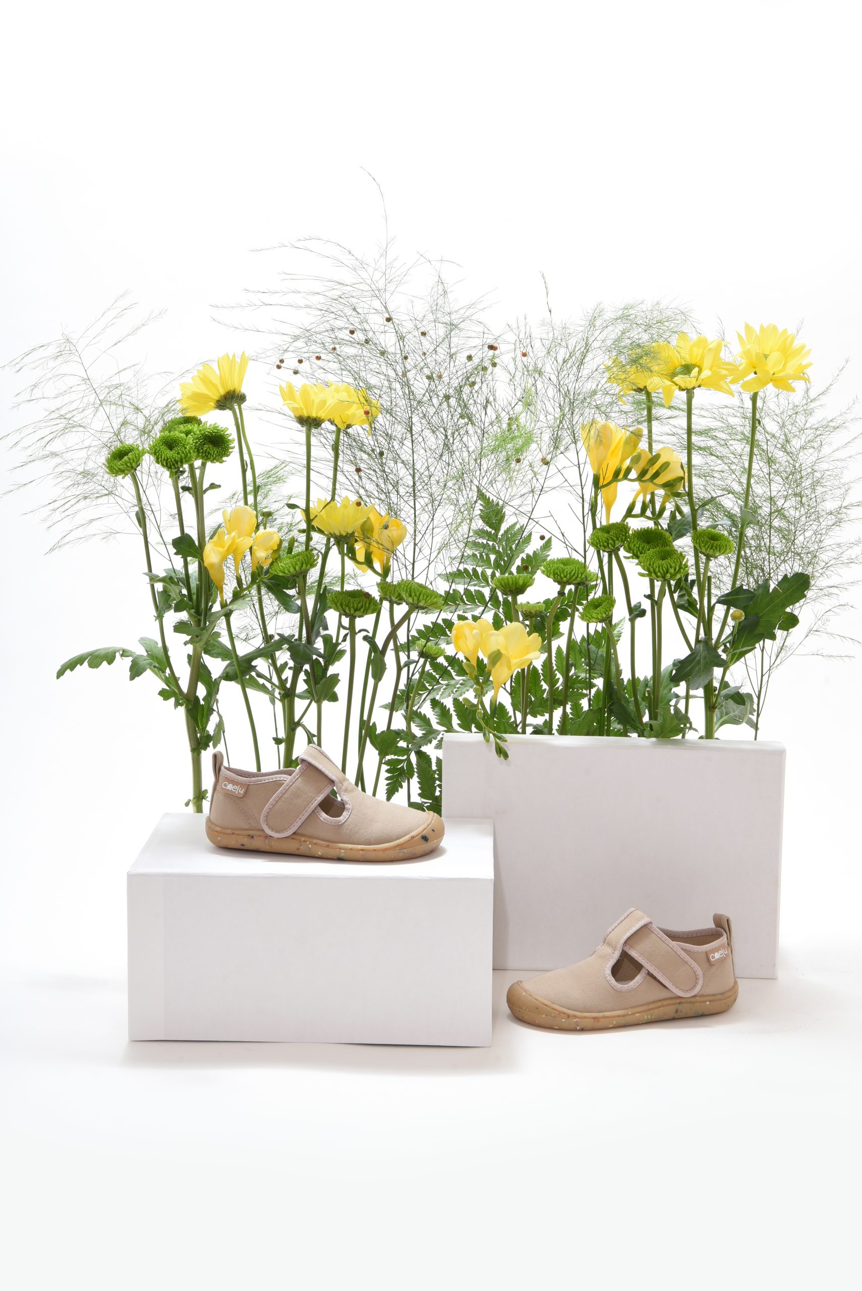 Comporta piedra - Image 3