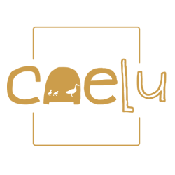 cropped-logo-caelu.png